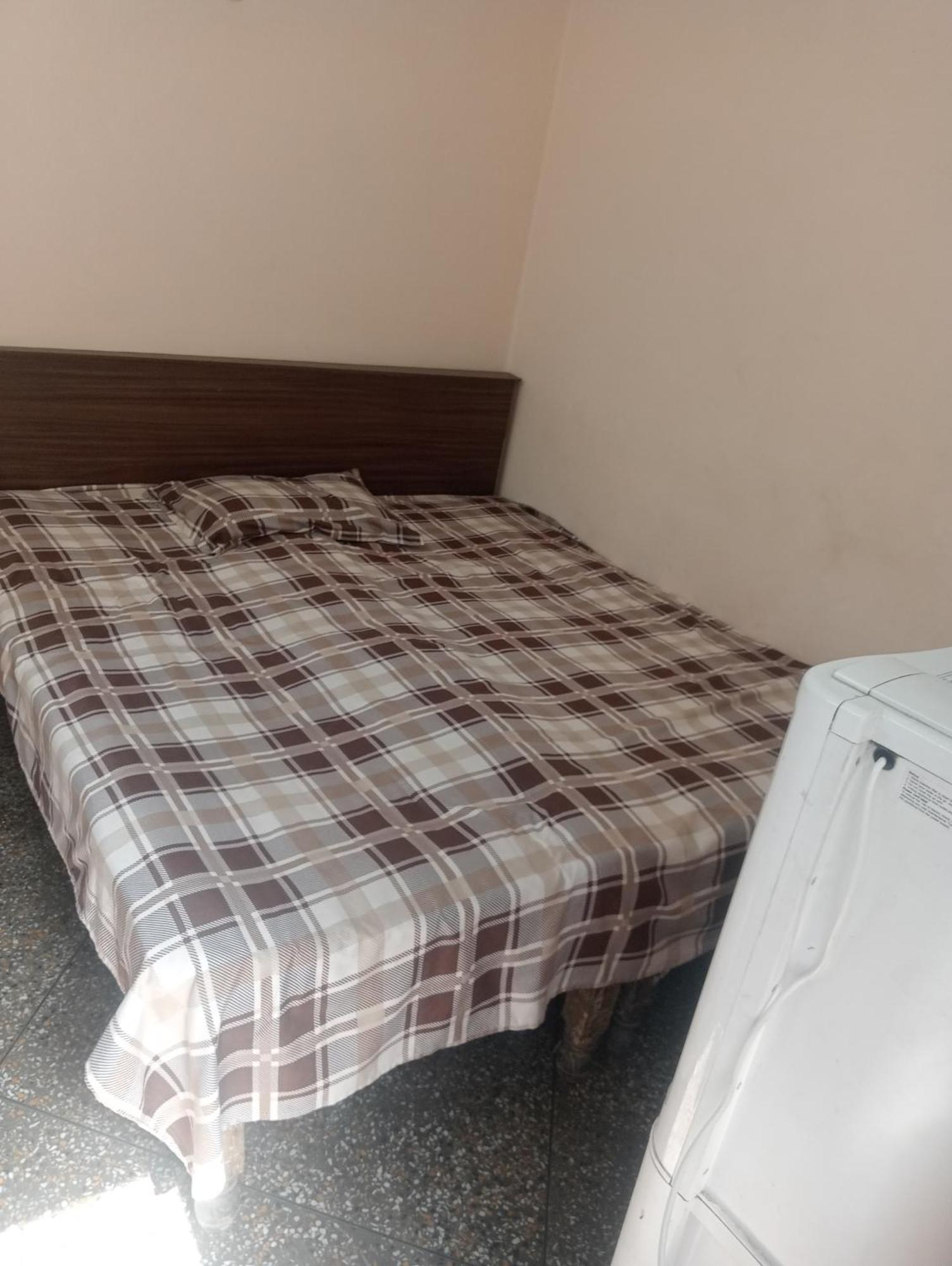 Ever Green Guest House Travel & Pg 新德里 外观 照片