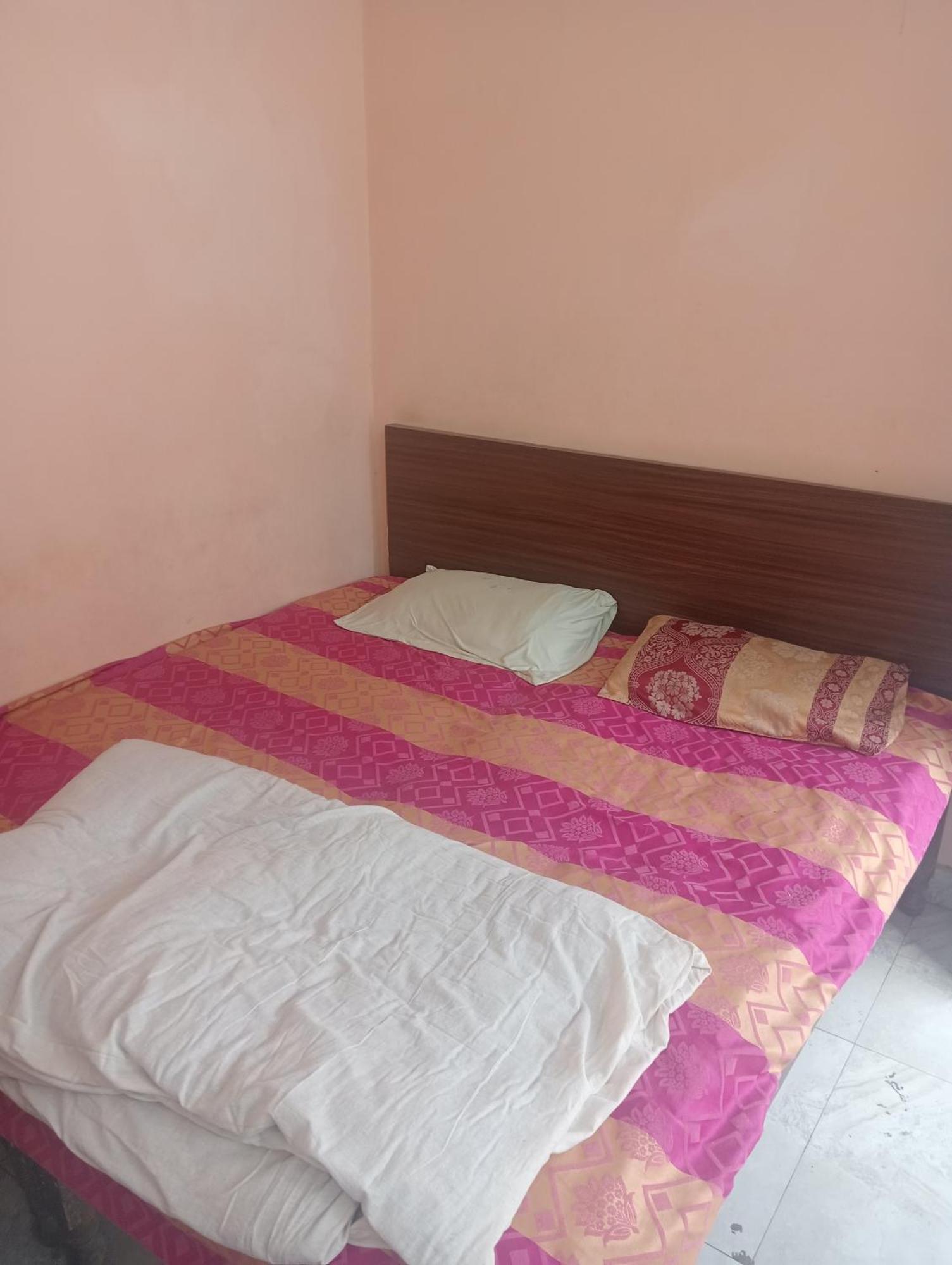 Ever Green Guest House Travel & Pg 新德里 外观 照片