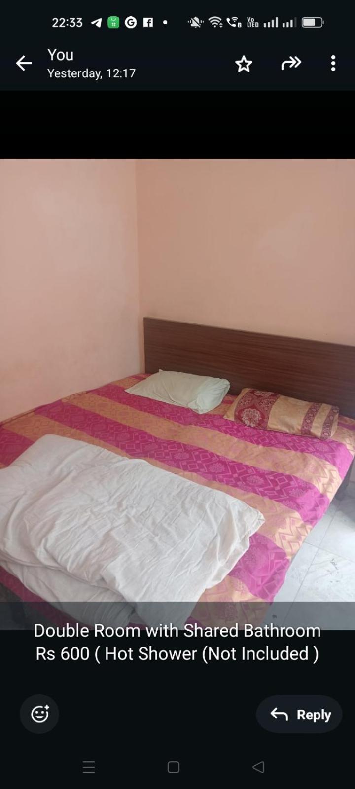 Ever Green Guest House Travel & Pg 新德里 外观 照片